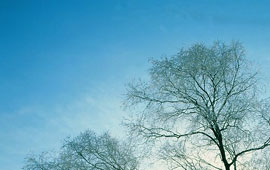 在线DDOS压力测试网页端