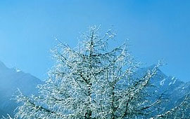 网页DDOS攻击平台