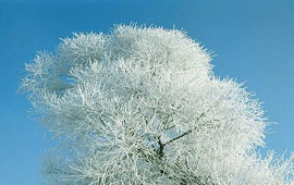 服务器攻击软件